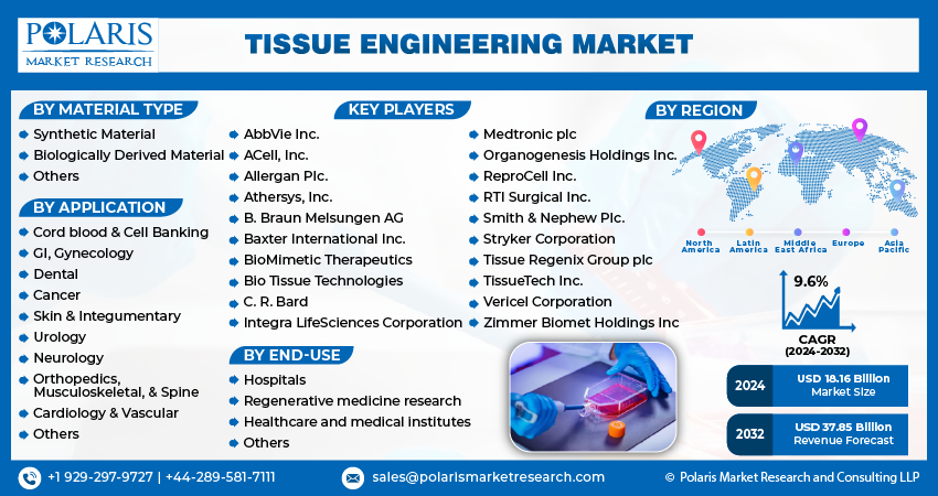 Tissue Engineering Market share